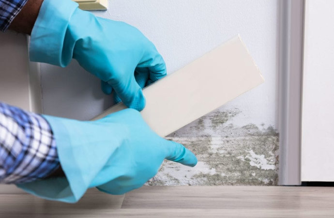 Types of Mold Testing